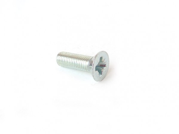 Hinge Screw